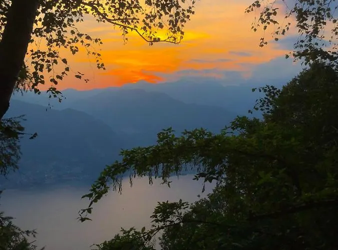 Aparthotel Il Larice D' Oro