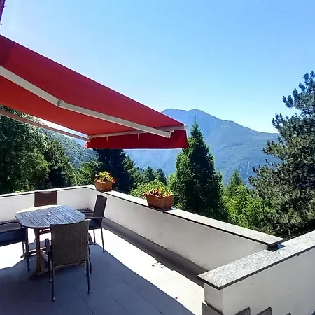 Il Larice D' Oro